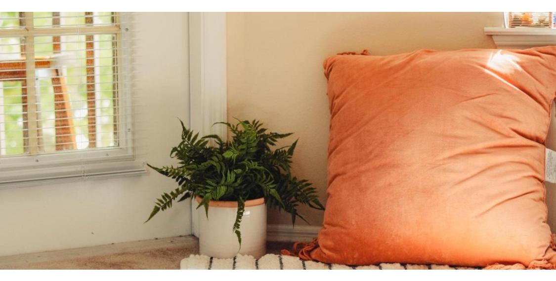 Orange bean bag on cream rug next to a green plant