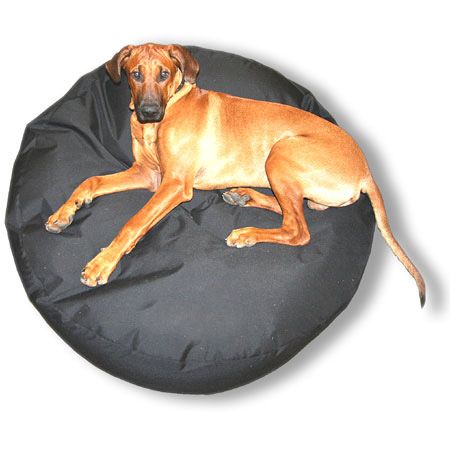 Big Round Dog Bed Bean Bag