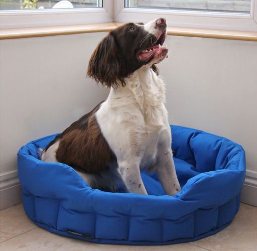 Medium Dog Bed Basket - Royal Blue