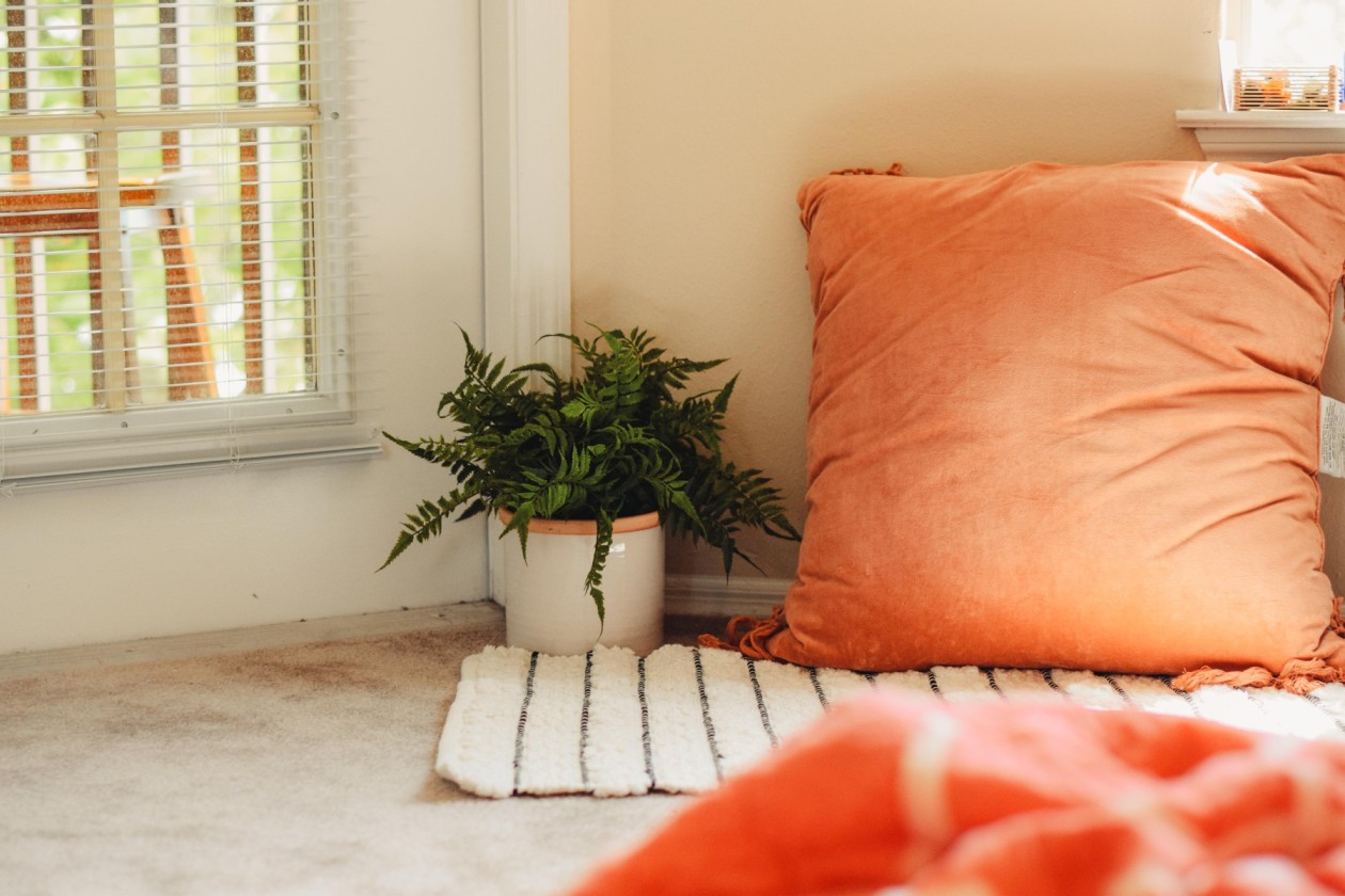 Orange cushion on a white rug next to a plant