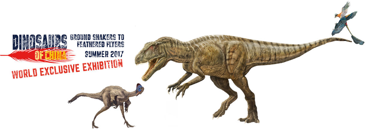 Dinosaurs of China Logo
